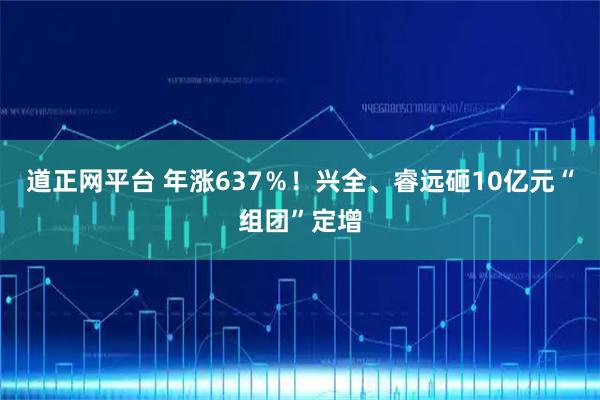 道正网平台 年涨637％！兴全、睿远砸10亿元“组团”定增