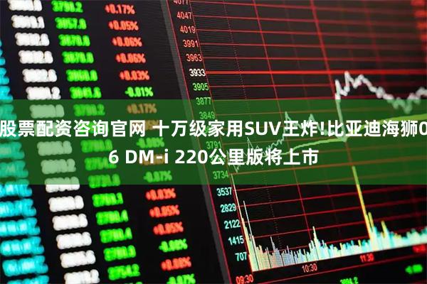 股票配资咨询官网 十万级家用SUV王炸!比亚迪海狮06 DM-i 220公里版将上市
